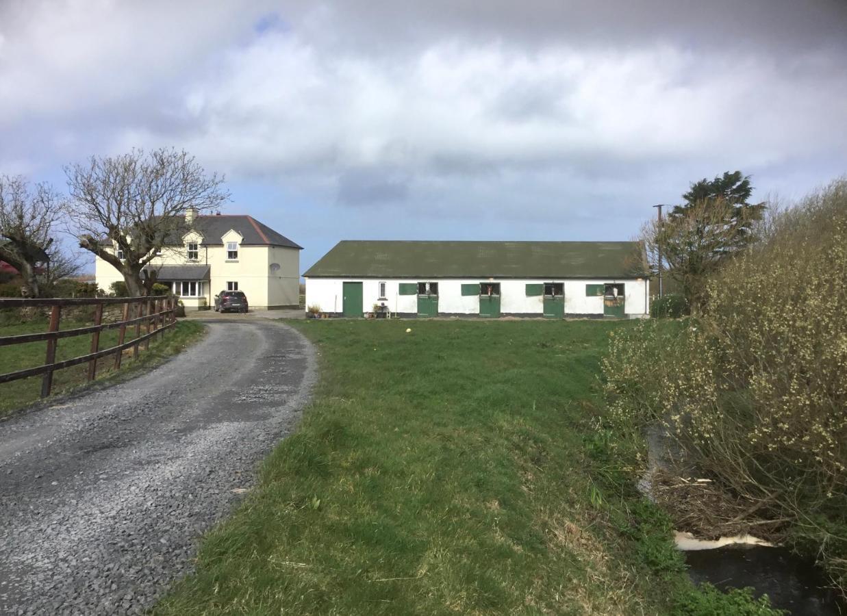 Dromelihy House Stud Guest House Doonbeg Exterior photo