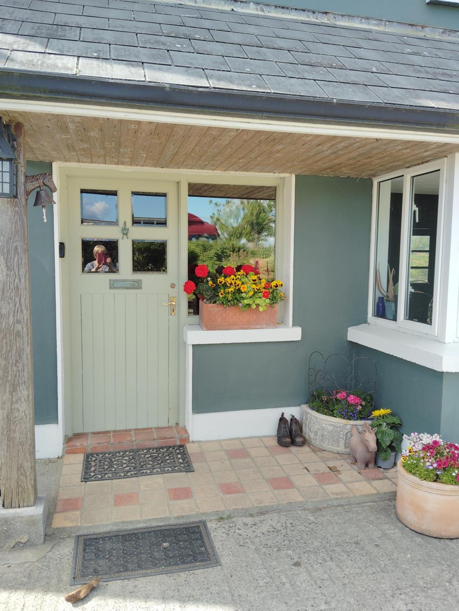 Dromelihy House Stud Guest House Doonbeg Exterior photo