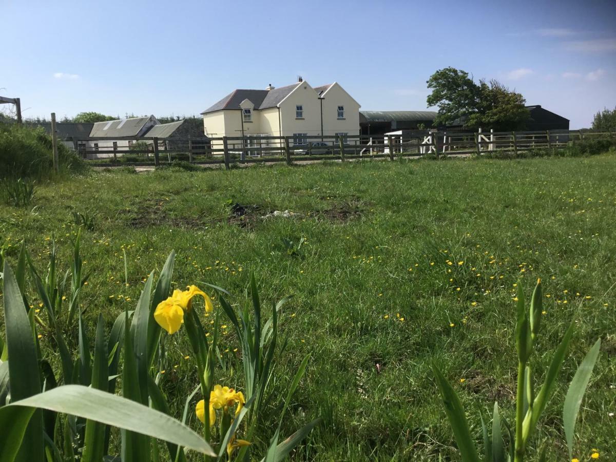 Dromelihy House Stud Guest House Doonbeg Exterior photo