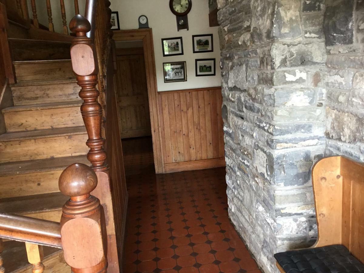Dromelihy House Stud Guest House Doonbeg Exterior photo